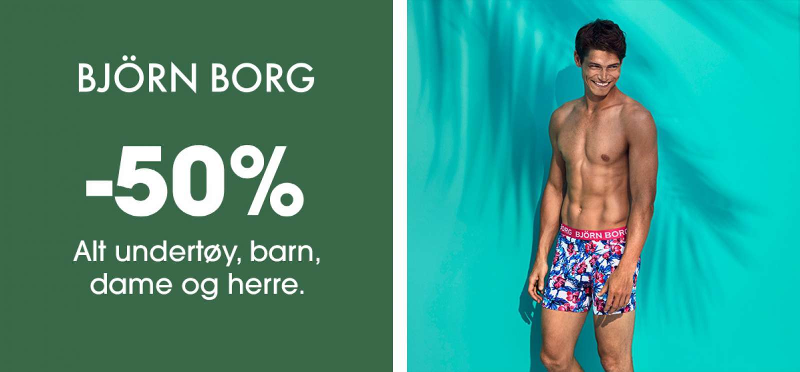 Bjørnborg2