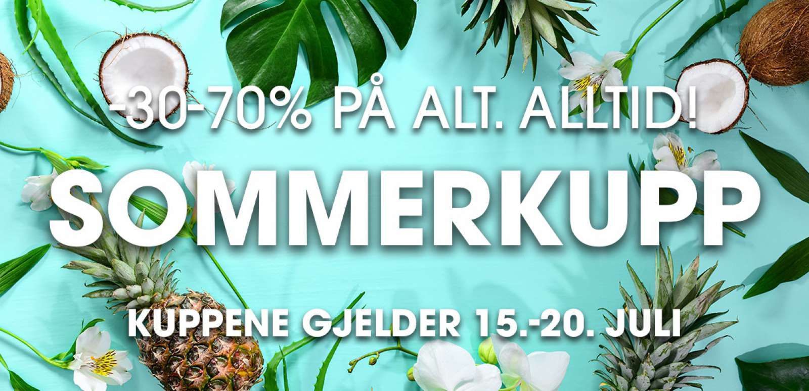 Header Web