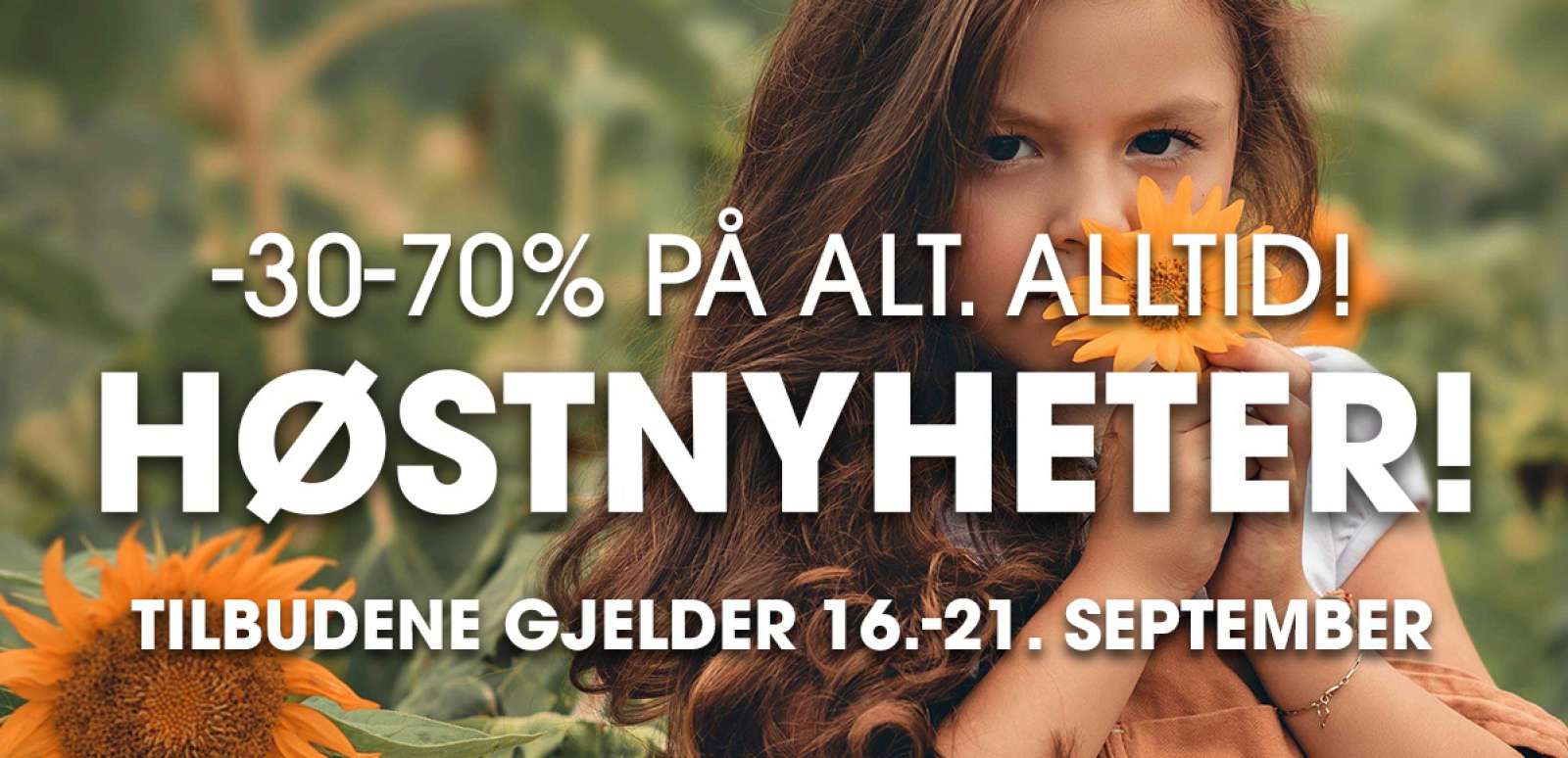 Header Web